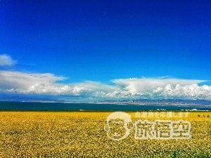 青海湖