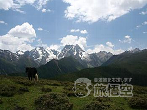 石頭城 麗江