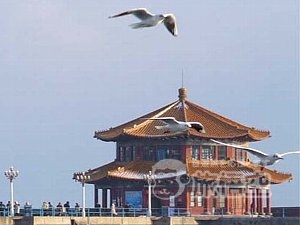 桟橋 青島