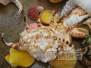 三亜湾ビーチ 海南島