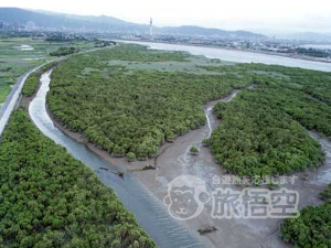 東寨港自然保護区 海南島